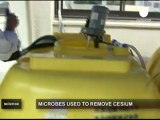 Bactéries contre césium