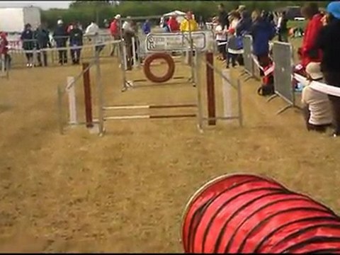 concours agility luçon 17 juillet 2011 Nelly et ely
