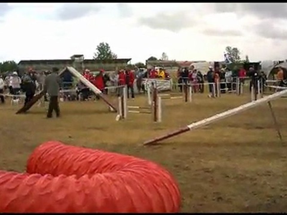 Concours agility luçon 17 juillet 2011 morgane et easydo
