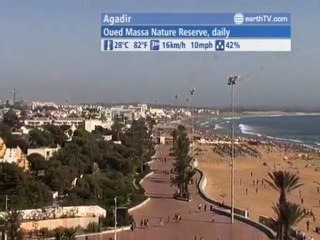 Metz - France, Munich - Germany, Venice - Italy, Agadir - Morocco, Udaipur - India, Ascona - Ticino - Switzerland, Hamburg - Germany