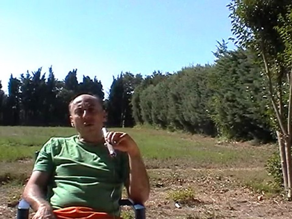 memoire 2 communication esprit 13300 artcomesp reiki litotherapie pnl philosophie angeologie communication ..