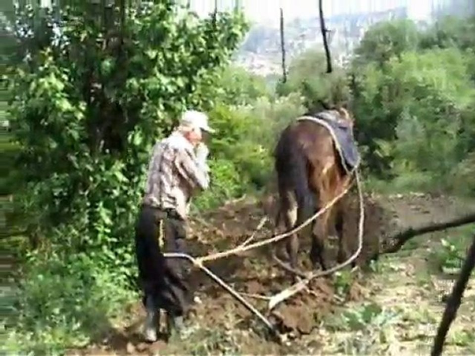 Mersin Gülnar Gezende Köyü yaza hazırlık görüntüleri halil&nurcan koçak