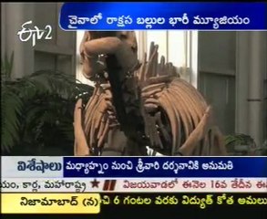 World's largest Dinosaur museum in China