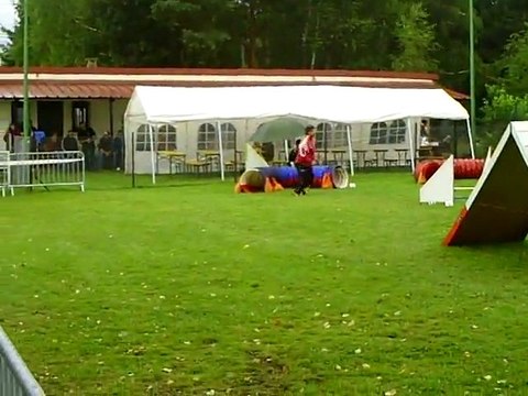 Concours agility Ham 2 ème degré Viego 17/07/2011