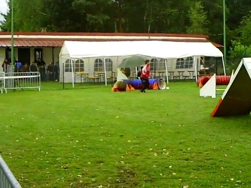 Concours agility Ham 2 ème degré Viego 17/07/2011
