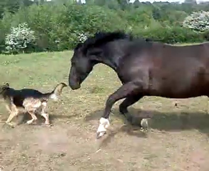 Unconito VS Némo ^^