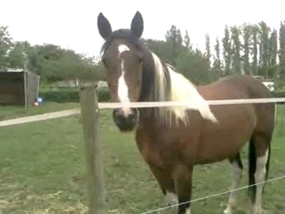 Vidéo0004