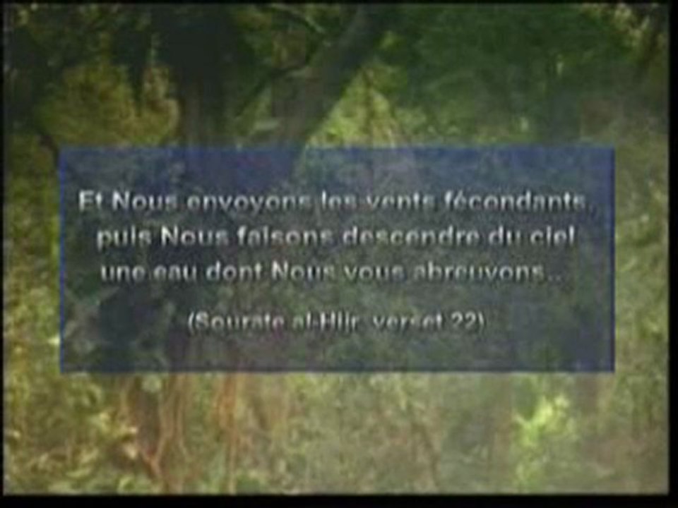 les miracles du coran