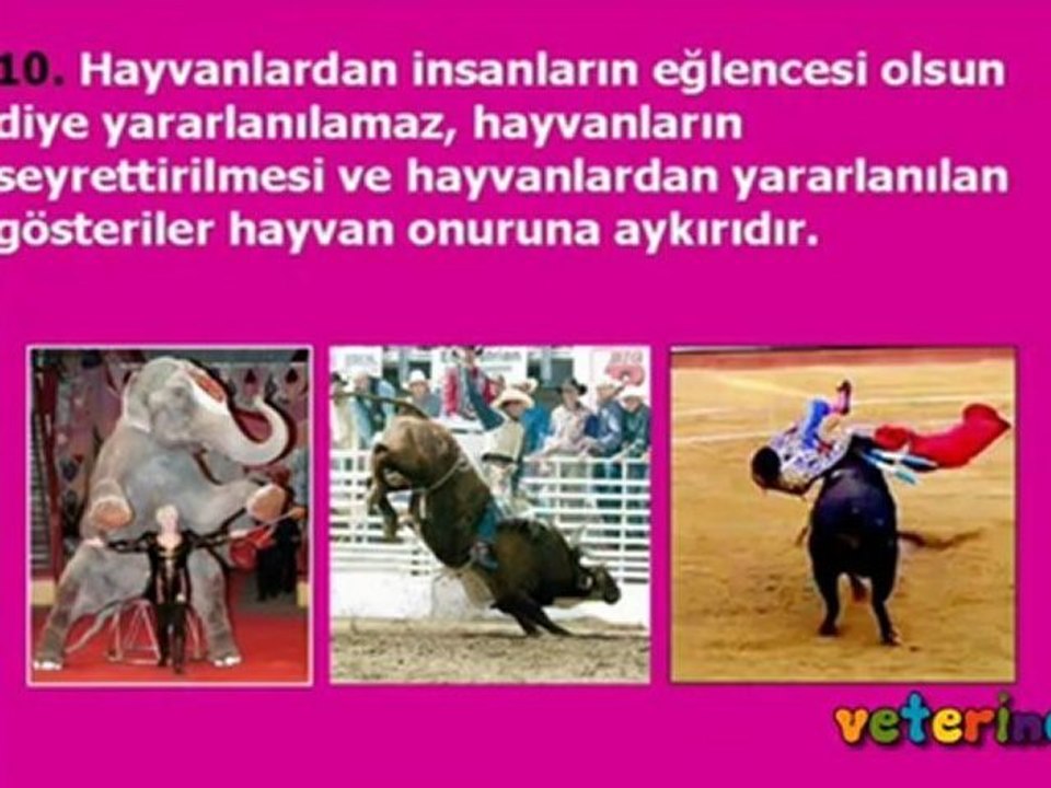 Hayvan Hakları Bildirgesi