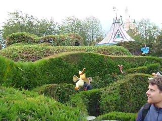 Alice's curious labyrinth