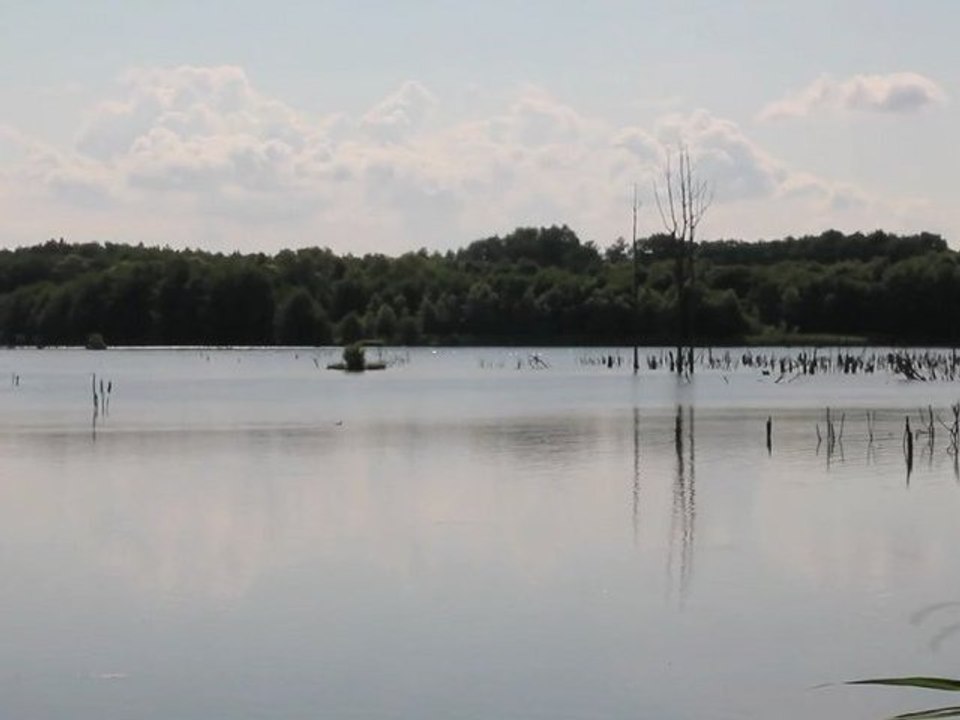 La Voie verte au Lac de l'Ailette