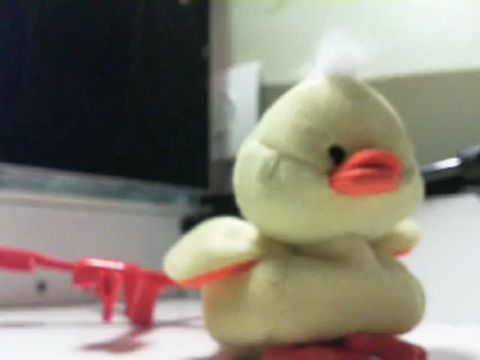 philippe_20072011