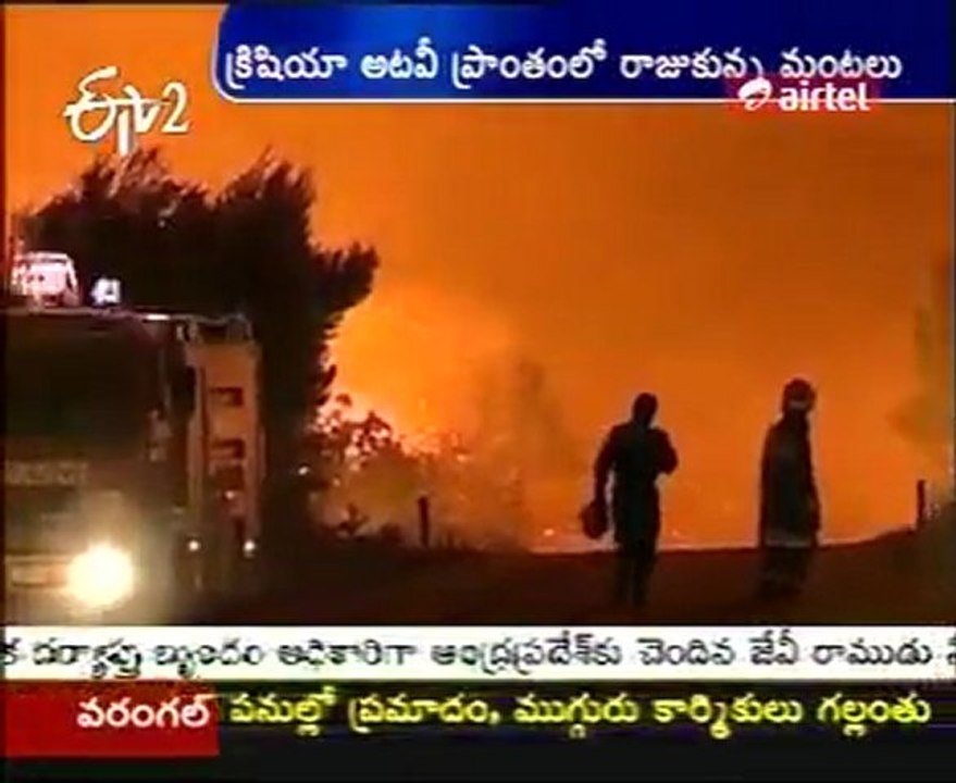 Forest held with fire in Crishiya