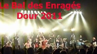 Le Bal Des Enragés - porcherie@Dour live 2011