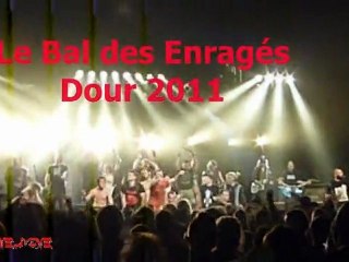 Le Bal Des Enragés - porcherie@Dour live 2011