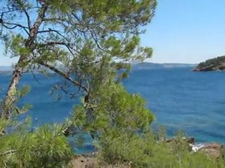 Provence (La Ciotat) 2011