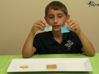 Baby Shower Squiggle Sticker Labels