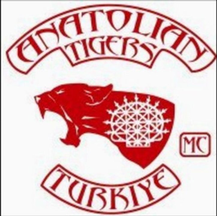 Anatolian Tigers