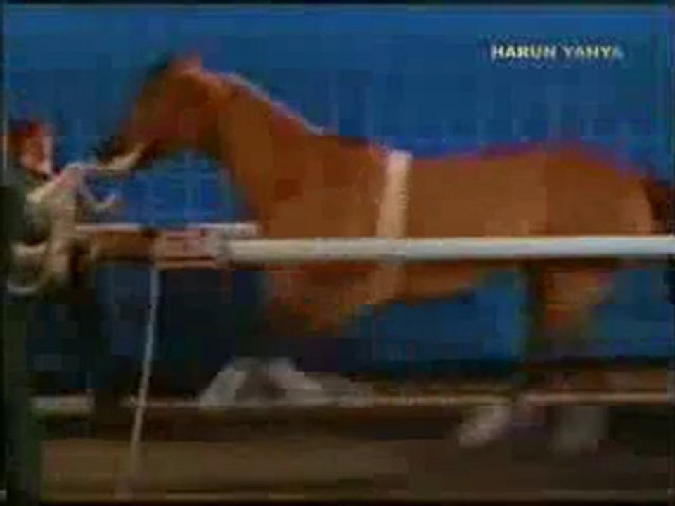 Atın kemik tasarımı mühendislerin ilham kaynağı