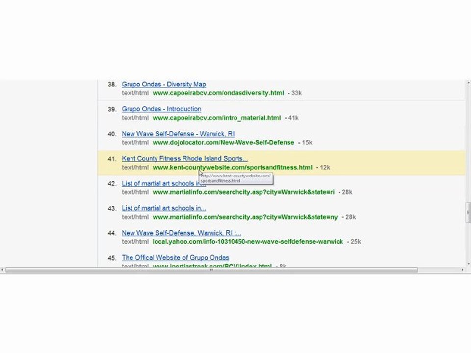 Martial Arts Business. Internet Ninja Mission