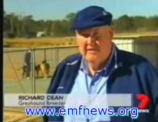 EMR and EMF Protection Deepest Secrets