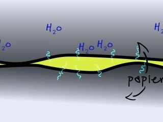 KEZAKO: Pourquoi la colle colle?