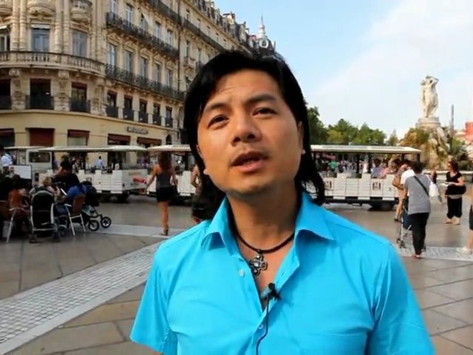 tvcapu-un vietnamien : la lune solitaire: montpellier