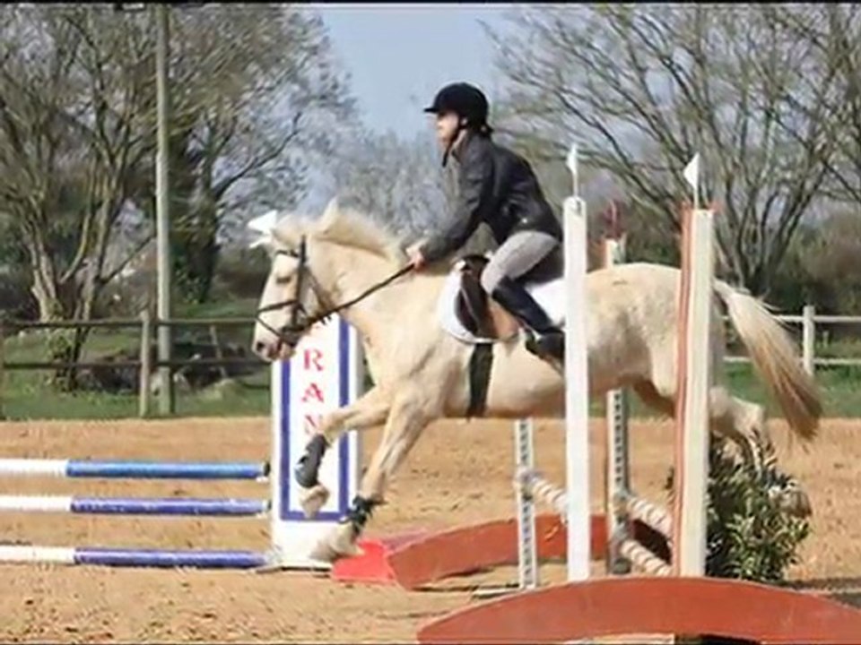 Saison 2011