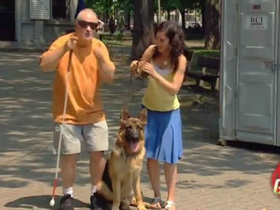 Blindenhund geht fremd