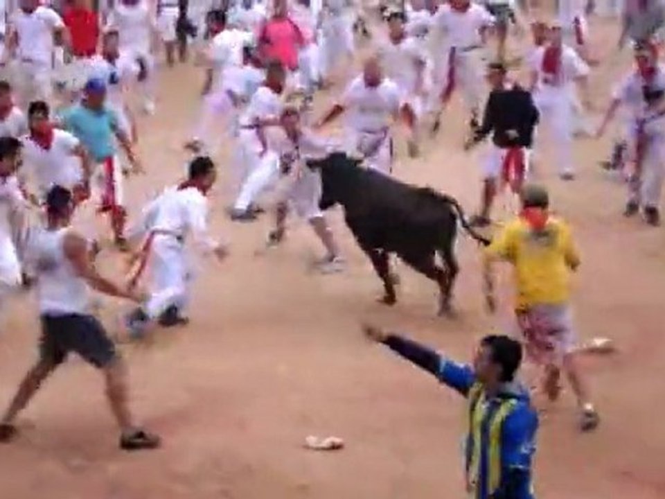 Streaker Owned By Bull