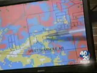 Do Wi-Fi Signals Kill Trees?