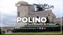 Polino - Piccola Grande Italia