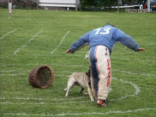 Rebel des Ducs de Justemont