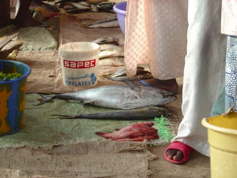 senegal-villages de pecheurs