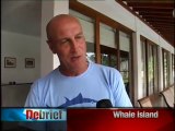 Whale watching Sri Lanka, Alankuda Beach, Beach hotels in sri lanka, Boutique hotels in Sri Lanka, Dolphin Beach Hotel, Dolphin Beach Resort