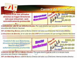 Carrera de Directores Amarillas Internet