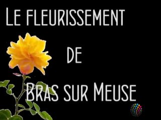 Fleurissement à Bras-sur-Meuse sur le thème des jeux de société