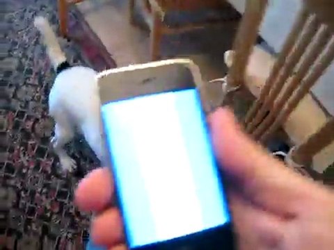 iPhone 3G Lightsaber VS. Rio the Jack Russell