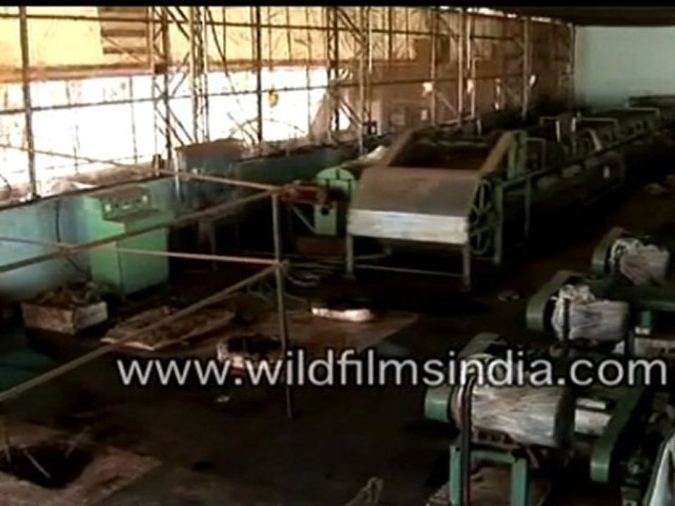 Tea Factory in India
