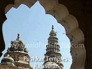 Pushkar Temple