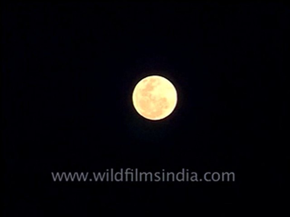 moon - 2-MPEG-4 800Kbps