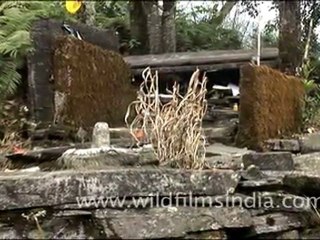 Mehao Lake of Arunachal Pradesh