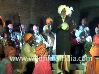 Snake Charmer playing popular music