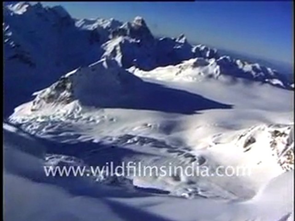 Vignettes from the Indian Wilderness Part - 2
