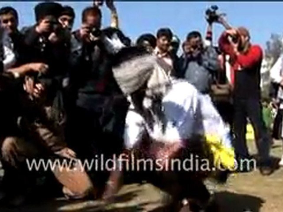 Rural Olympics_2.