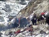 Yaks and Donkeys Carrying Luggage