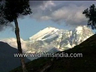 hills-2-MPEG-4 300Kbps