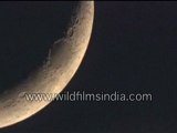 Moon up close, with craters!