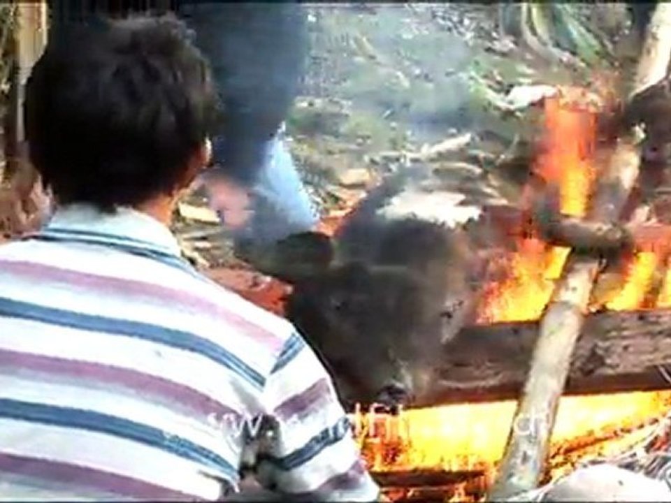 Burning of a Pig after Sacrifice, Arunachal Pradesh