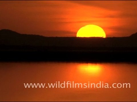 Sunset over Sambhar Lake